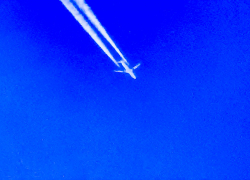 Сколько рейсов задерживается в Волгоградском аэропорту из-за "закрытого неба"