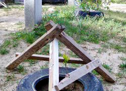 Неужели только такой уродливой защитой можно спасти молодые саженцы в Камышине? - камышанин