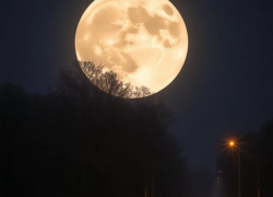 Камышанам предлагают в ночь на 13 февраля, глядя на Снежную Луну, распланировать на удачу поездки года