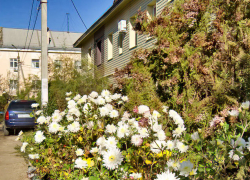 Выходные в Камышине будут солнечными и свежими