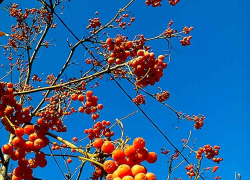 Внимание! На юг России заходит средиземноморский циклон