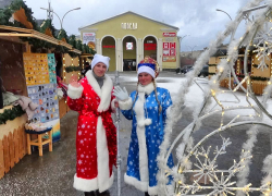 В Камышине с неба посыпались ледяные шарики