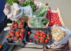 На рынках Камышина продают тепличную краснодарскую клубнику
