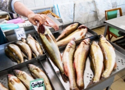 В Волгоградской области подешевели яйца и макароны, а подорожали сыр и рыба