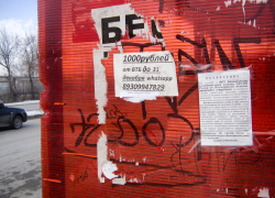 В Камышине на загаженных остановках приспособились расклеивать объявления не только частники, но и государственные учреждения? - камышанка