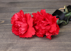 Перепутали покойников: мужчину похоронили мусульмане, потом выкопали и перезахоронили, - "Блокнот Волгограда"