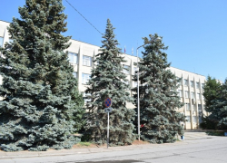 В Камышине слуги народа надели маски и перчатки и решали, как выживать народу 