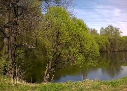 Следователи устанавливают причину смерти найденного у водоема маленького мальчика