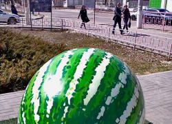 В Камышине вся неделя будет теплой почти по-летнему