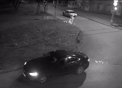 МВД опубликовало видео расстрела волгоградца писающим парнем, - "Блокнот Волгограда" (ВИДЕО)