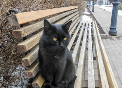 Яркое солнце пообещали синоптики камышанам 23 марта - перед дождем