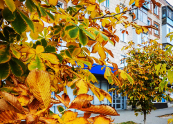 Камышанин Руслан Дан погиб на линии боевого соприкосновения