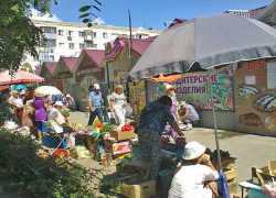 Волгоградские аграрии планируют увеличить производство овощей