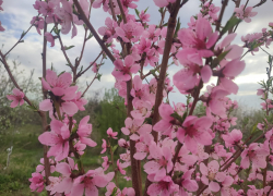 Вероятный дождь и геомагнитный шторм предсказали синоптики камышанам сегодня, 22 апреля