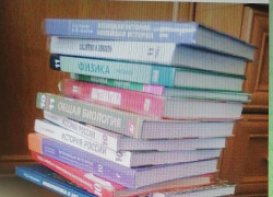 В администрации Камышина дают понять, что бесплатных учебников 1 сентября хватит всем