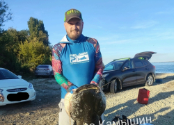 Камышане показали в соцсетях удальца, выловившего в местном овраге "Беленький" гигантского сома