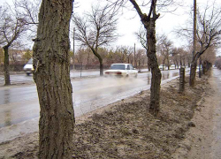 В Камышине полиция ищет очевидцев наезда на 16-летнюю школьницу в районе "кольца" бывшего ХБК