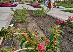 +30 - и снова +30: погода в Камышине на ближайшие дни