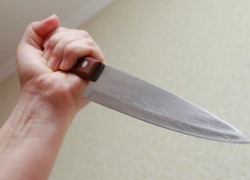 Молодую "воительницу" пытались развести с ее знакомым, но она взяла в руки нож и  вонзила его в переговорщика