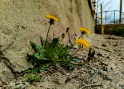 Синоптики "настаивают" на грозе в Камышине сегодня, 5 апреля