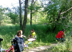 Владимир Путин заявил, что всем камышинским семьям с детьми выплатят еще по 10 тысяч рублей на каждого ребенка в июле