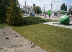 "Бахча" позади памятника «Камышинский Арбуз» трансформируется  в английский газон