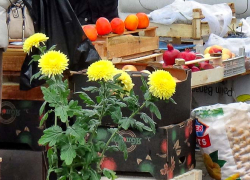 Камышан в ноябре "закармливают" привозными фруктами, но многим покупателям они становятся "поперек горла" из-за цен