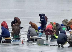 В Камышине горожан зовут на фестиваль по ловле рыбы - платный, но зато с шашлыками