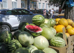 В Камышине рынки заполнились ранними сортами местных арбузов