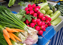 Для камышан тарелка борща из свежих овощей на мясном бульоне в июле выглядит "золотой"