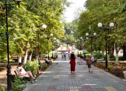 Солнечный летний день с освежающим ветерком: погода в Камышине на 16 августа