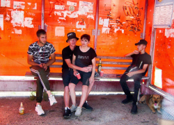 Двадцать тысяч бездомных собак гуляют по городам  Волгоградской области 