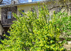 В десятках домов в Камышине отключат свет перед праздниками