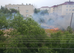 В объектив камышан попал ландшафтный пожар в городе