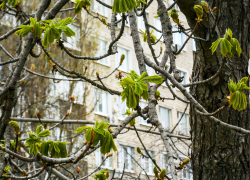 Сколько домов в Камышине оставили без света коммунальщики сегодня, 27 апреля, с половины девятого?