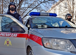 Сотрудники Росгвардии задержали в Камышине "гастролера", умыкнувшего у камышанки телефон