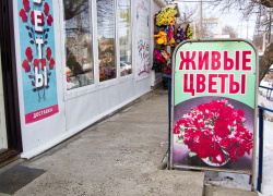 С мороза, тумана и инея началась весна в Камышине