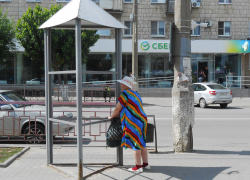 Разве нельзя этот металлический "скворечник" на улице Ленина использовать для дела? - камышанка