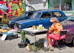 В Камышине арбузы подешевели до 30 рублей за килограмм, а яблоки подорожали до 150-ти!