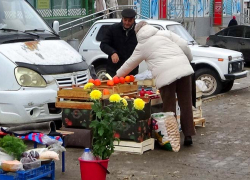 Администрация Камышина не без гордости доложила горожанам о тысяче торговых мест на городских рынках, но...