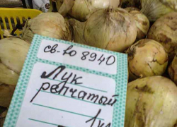 В Камышине неожиданно резко подорожал репчатый лук
