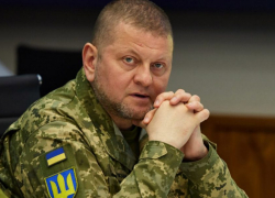 «Готовимся к худшему»: солдаты ВСУ отреагировали на признание главкома Залужного, - "Блокнот - Россия"