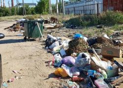 "Ужасная свалка в Камышине: куда смотрит наша администрация?"