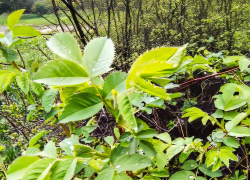 Об очередной порции непогоды вечером сегодня, 24 апреля, предупредили камышан