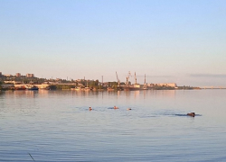 Камышане показали в соцсетях, что они открыли купальный сезон