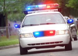 В Камышине ожидает ареста угонщик, ударивший полицейского по голове прямо в помещении отдела МВД