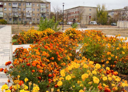 Ноль градусов показали термометры в Камышине 13 октября ночью