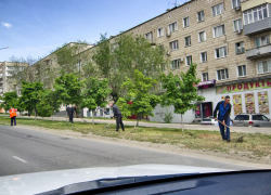 В Камышине "оранжевые жилеты" вышли полоть и "подгребать" улицу Некрасова, вооружившись тяпками и граблями