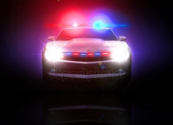 В Камышине полиция ищет "мстителей" "Лексусу" и "Лэнд Роверу"