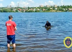 Почему камышане улыбнулись заметке о водолазах в Камышинке